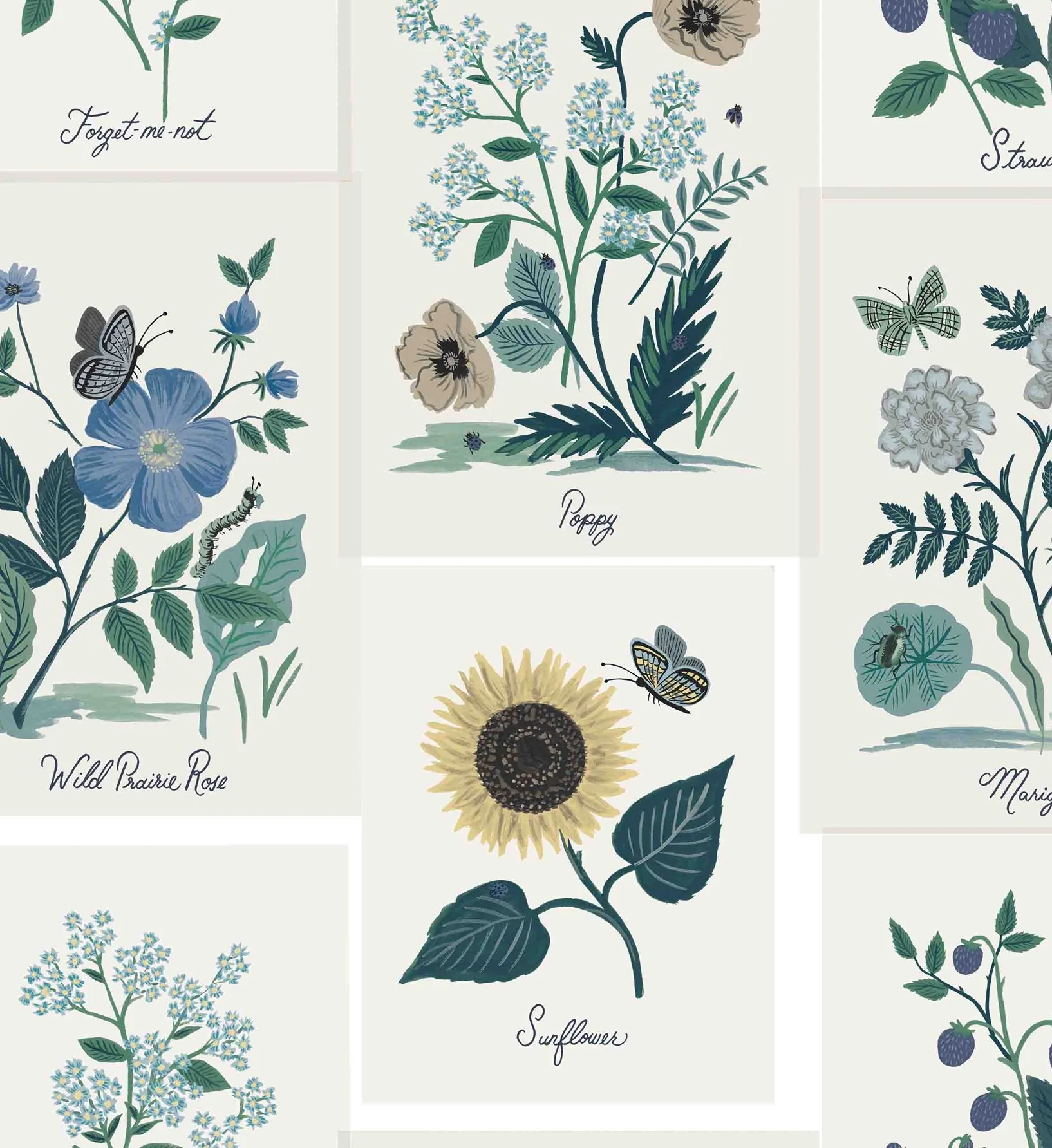Botanical Prints Wallpaper - Indigo - Image 2
