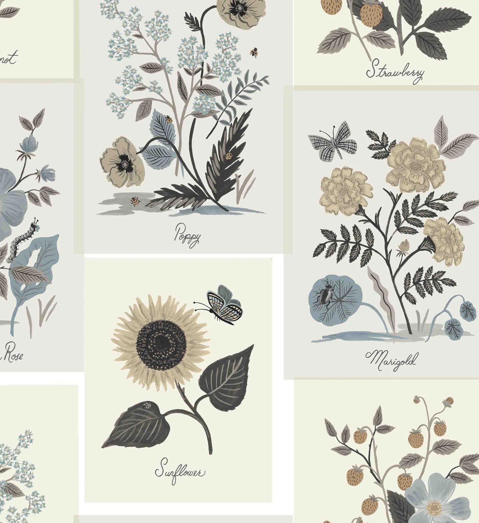Botanical Prints Wallpaper - Linen - Image 2