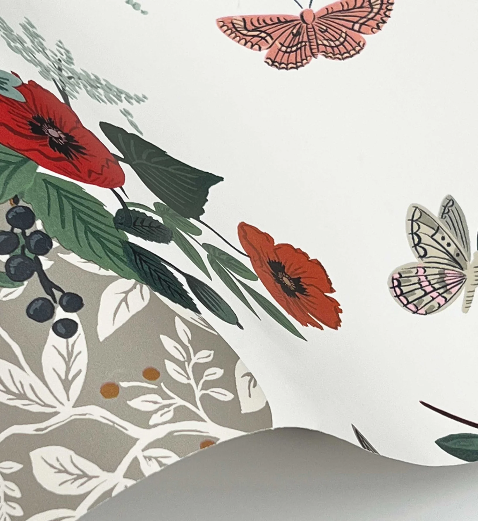 Flower Studies Wallpaper - Rose Multi - Image 3