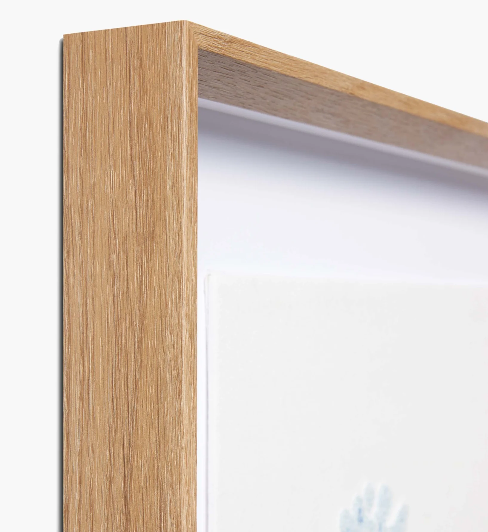 Framed Wall Art - Hydrangea Cream - Image 3