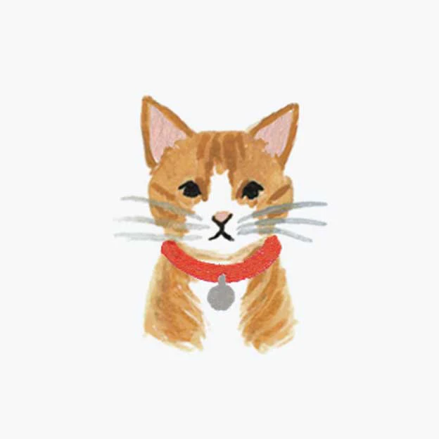Pets Personalized Stationery - Cat 6 - Image 2