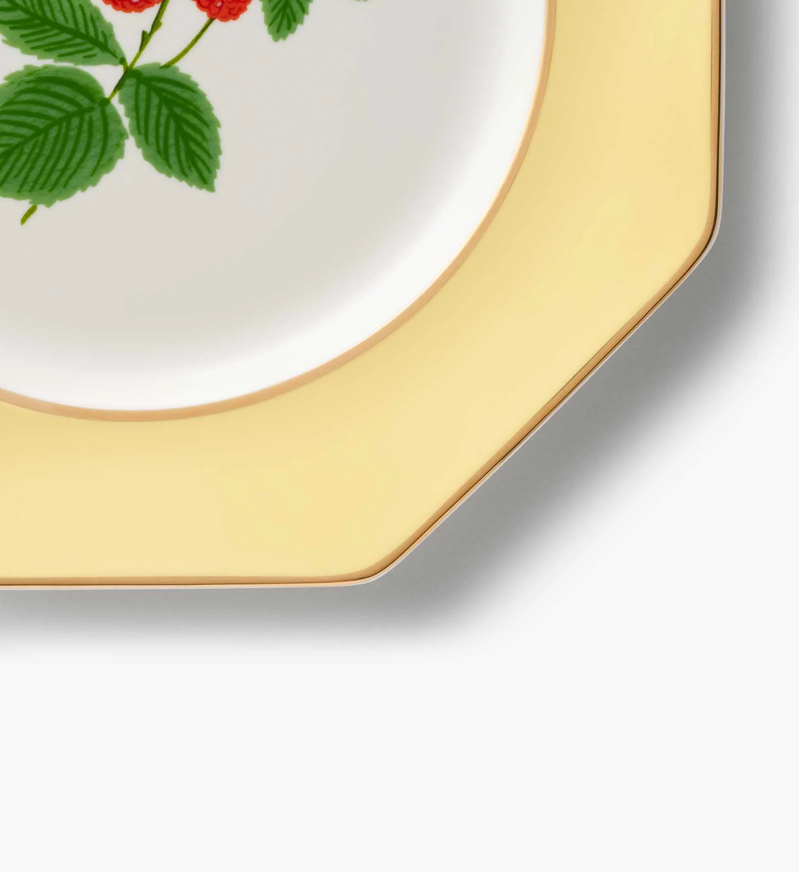 Porcelain Dessert Plate Set - Roses - Image 7