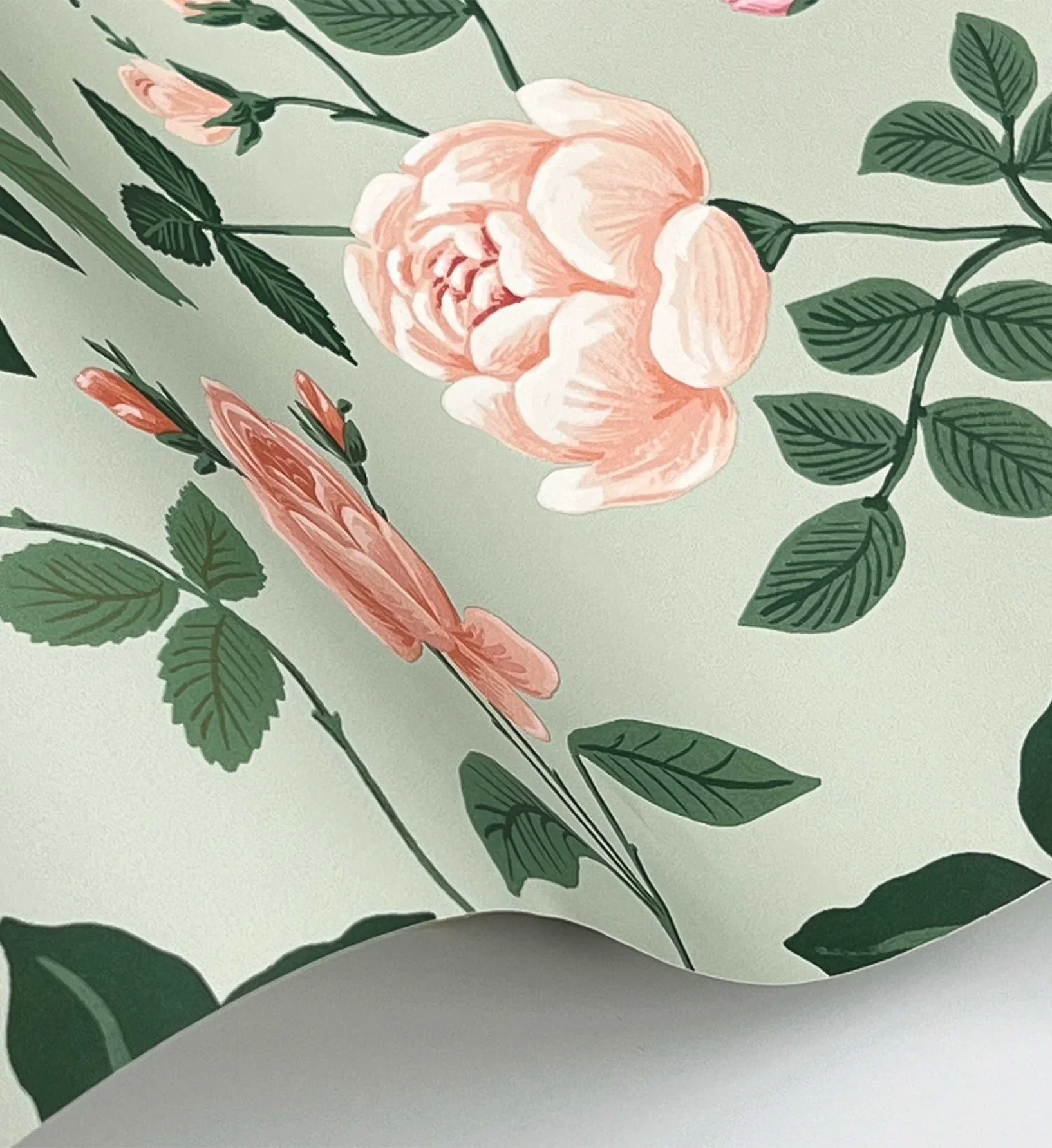 Roses Wallpaper - Mint - Image 3