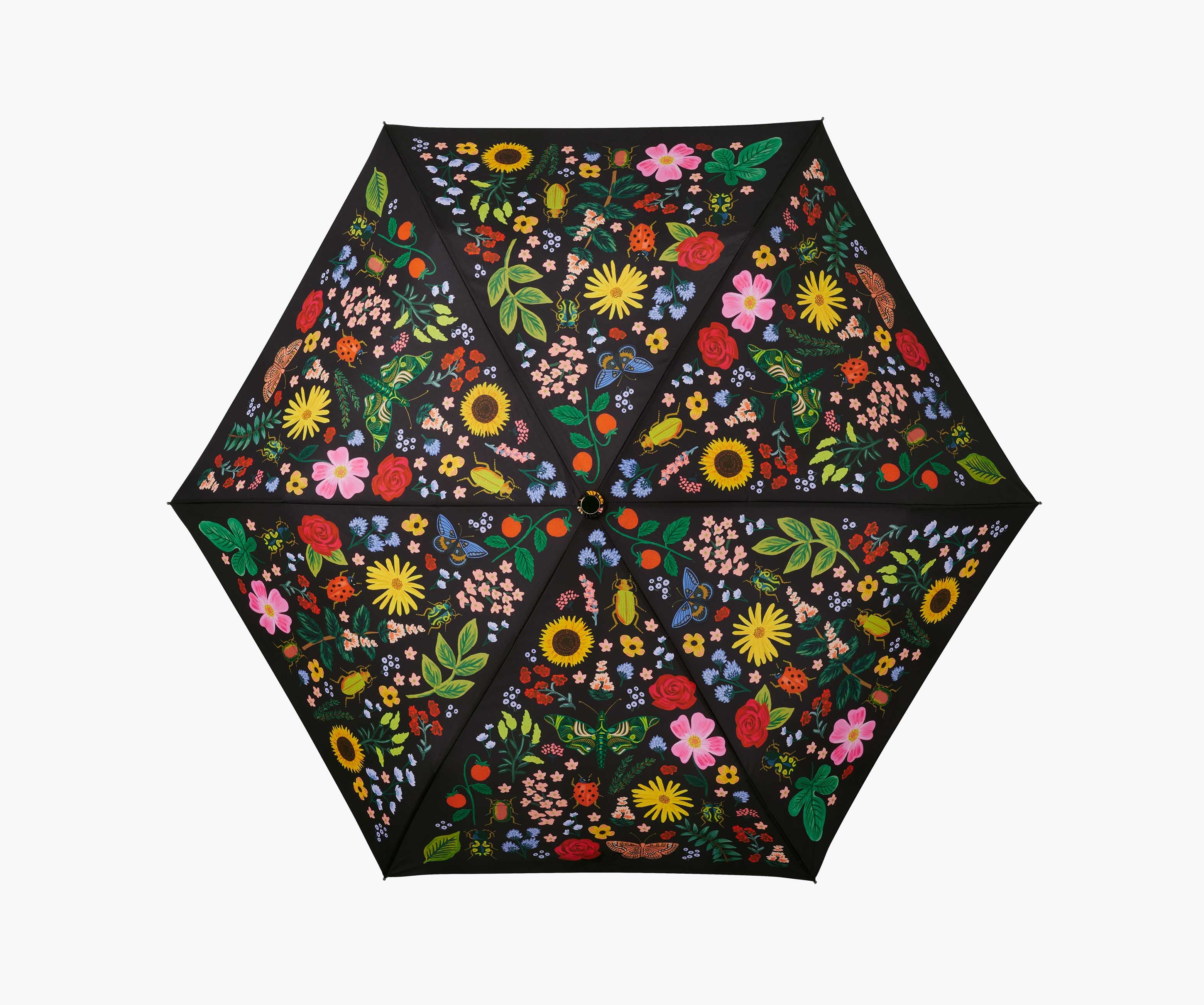 Umbrella - Curio - Image 3