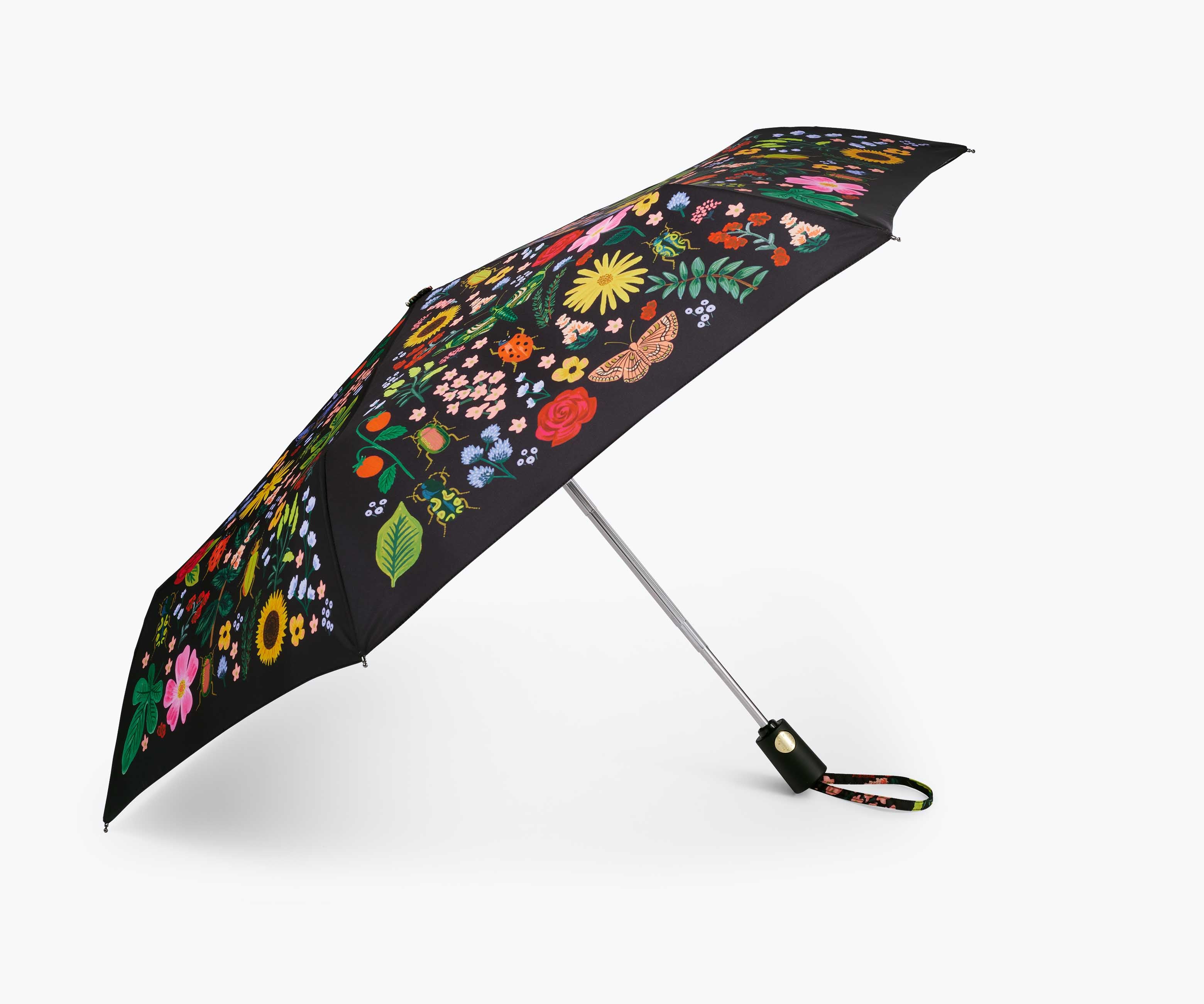 Umbrella - Curio - Image 4