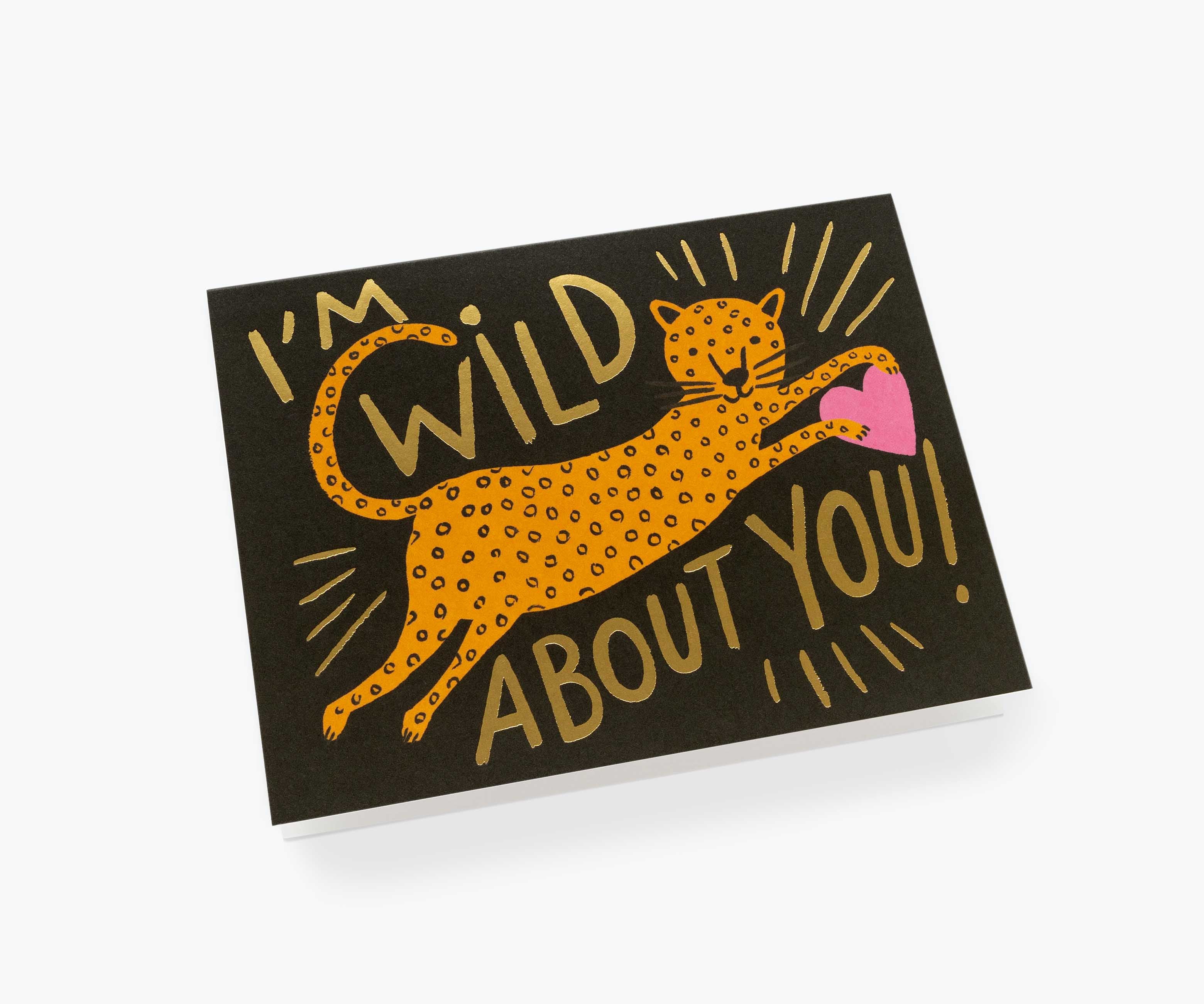 Wild About You - Image 2